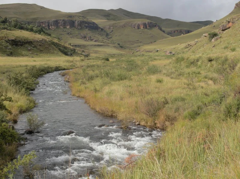 국민은행 마이너스통장 연장