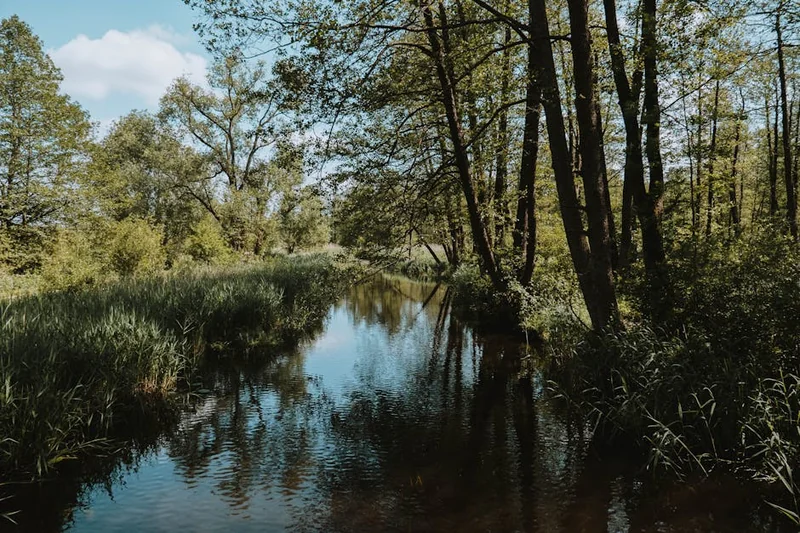 국민은행 마이너스통장 연장