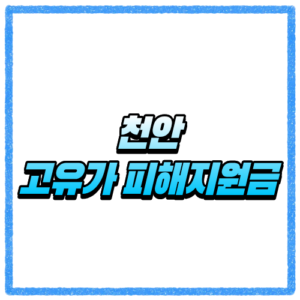 충남 천안시 고유가 피해지원금 신청방법, 대상 조회와 지급 기준 바로 확인