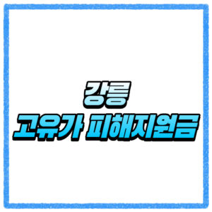 강원 강릉시 고유가 피해지원금 신청방법, 대상 조회와 지급 기준 바로 확인